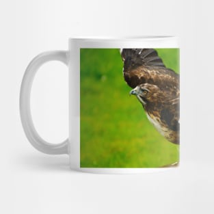 rli redtail hawk Mug